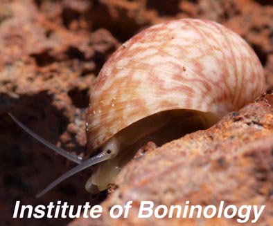 Institute of Boninology