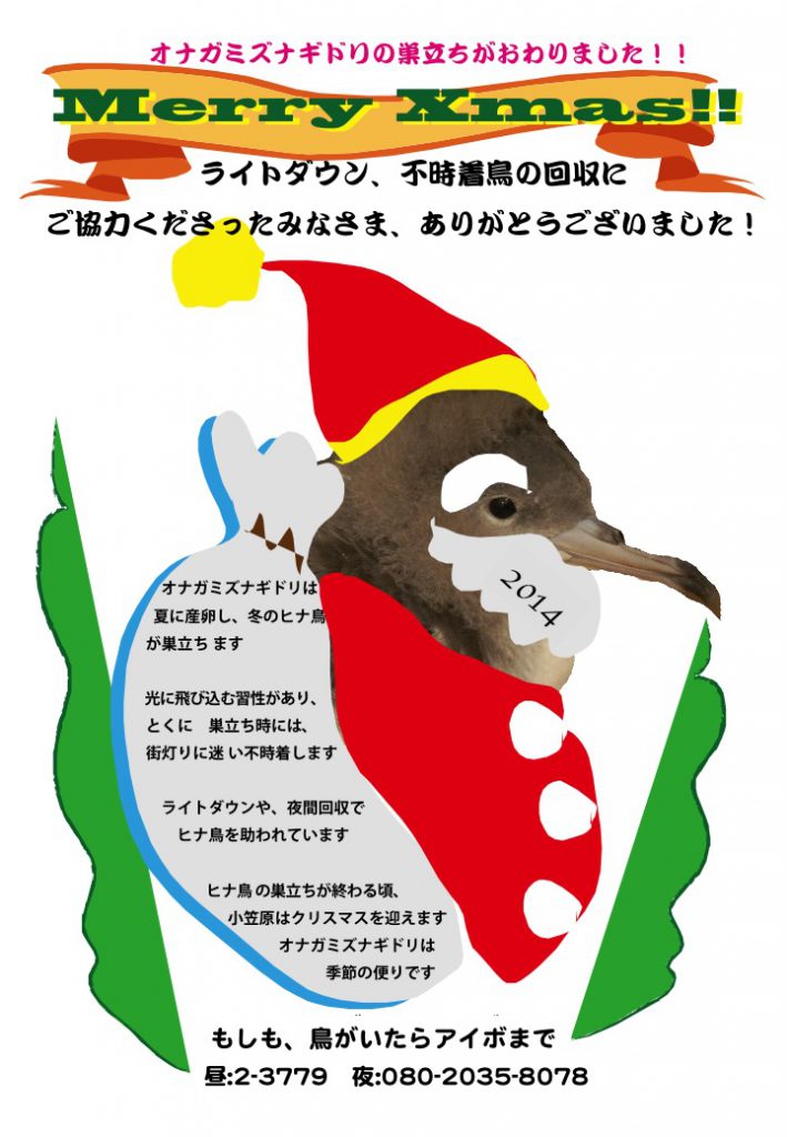 オナガクリスマス2014